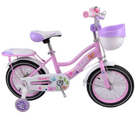 Children Bike  TY-TC1812